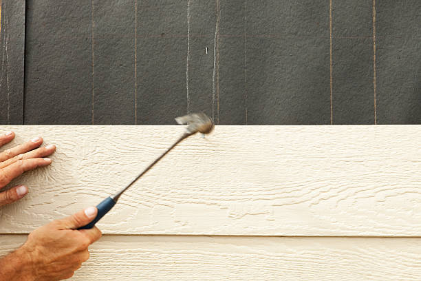 Best Wood Siding Installation  in , WI